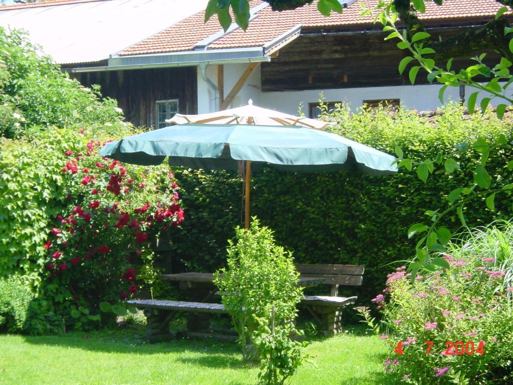 Pension Wagnerhof 奥博奥多夫 外观 照片